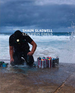 Shaun Gladwell: Stereo Sequences