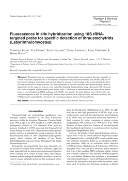 Fluorescence in Situ Hybridization Using 18S Rrna- Targeted Probe for Speciﬁc Detection of Thraustochytrids (Labyrinthulomycetes)