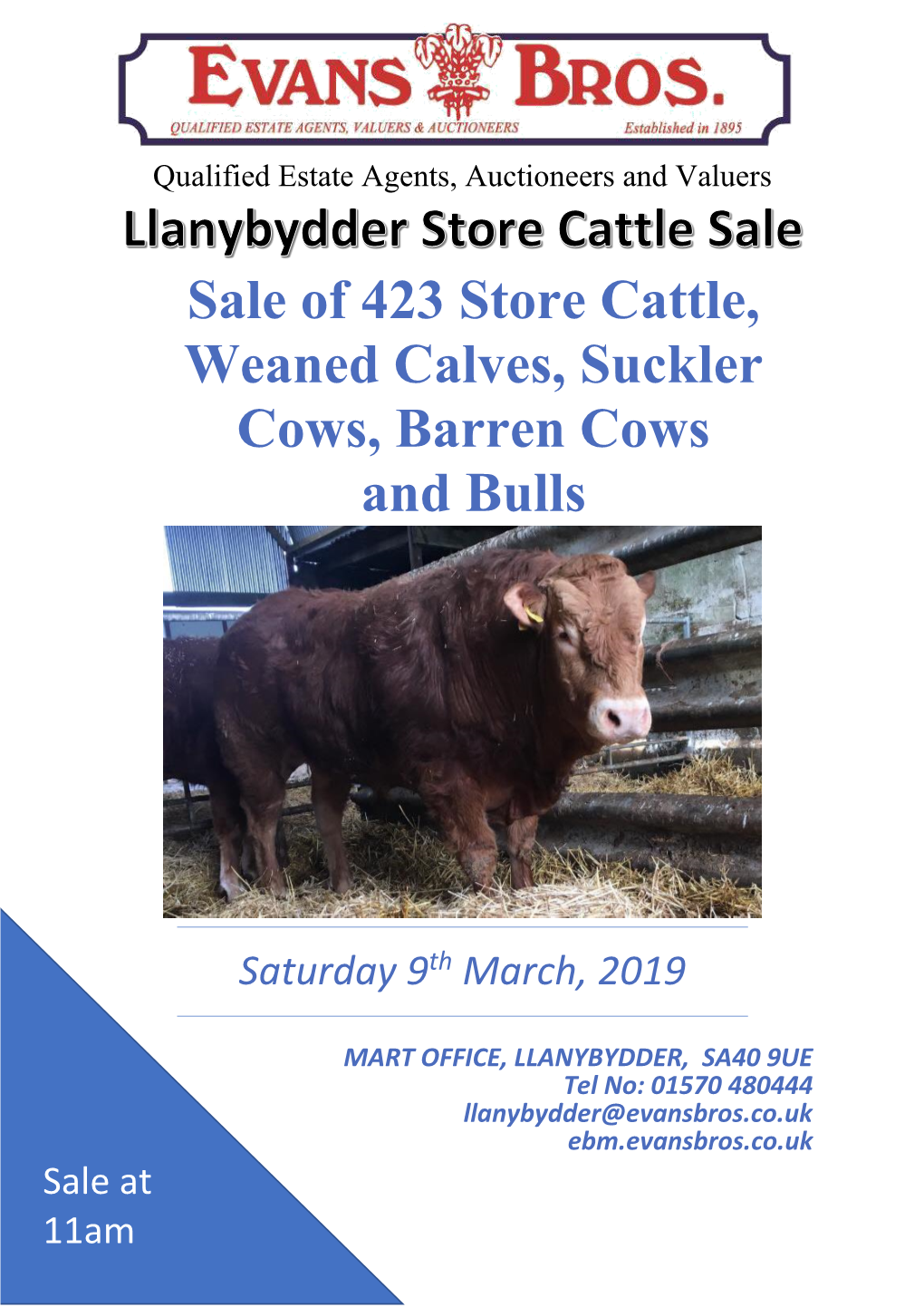 Sale of 423 Store Cattle, Weaned Calves, Suckler Cows, Barren Cows and Bulls