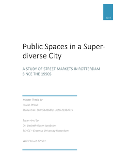 Public Spaces in a Superdiverse City