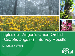 Ingleside –Angus's Onion Orchid (Microtis Angusii) – Survey Results
