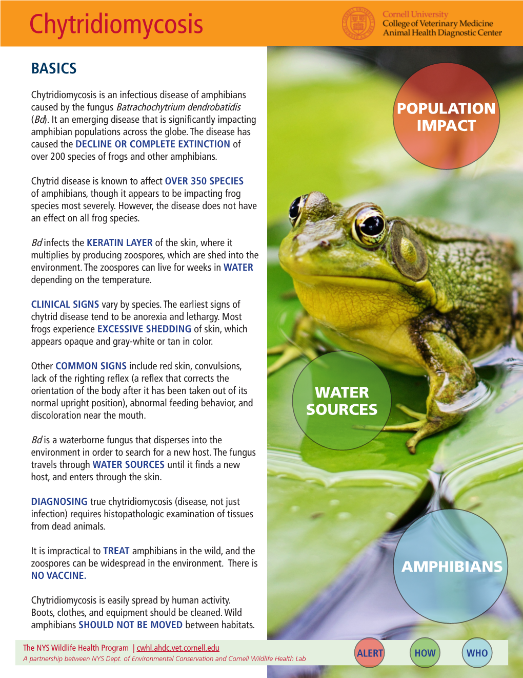 Chytridiomycosis Disease Fact Sheet - DocsLib