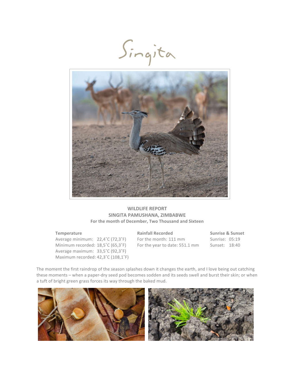 WILDLIFE REPORT SINGITA PAMUSHANA, ZIMBABWE for the Month of December, Two Thousand and Sixteen