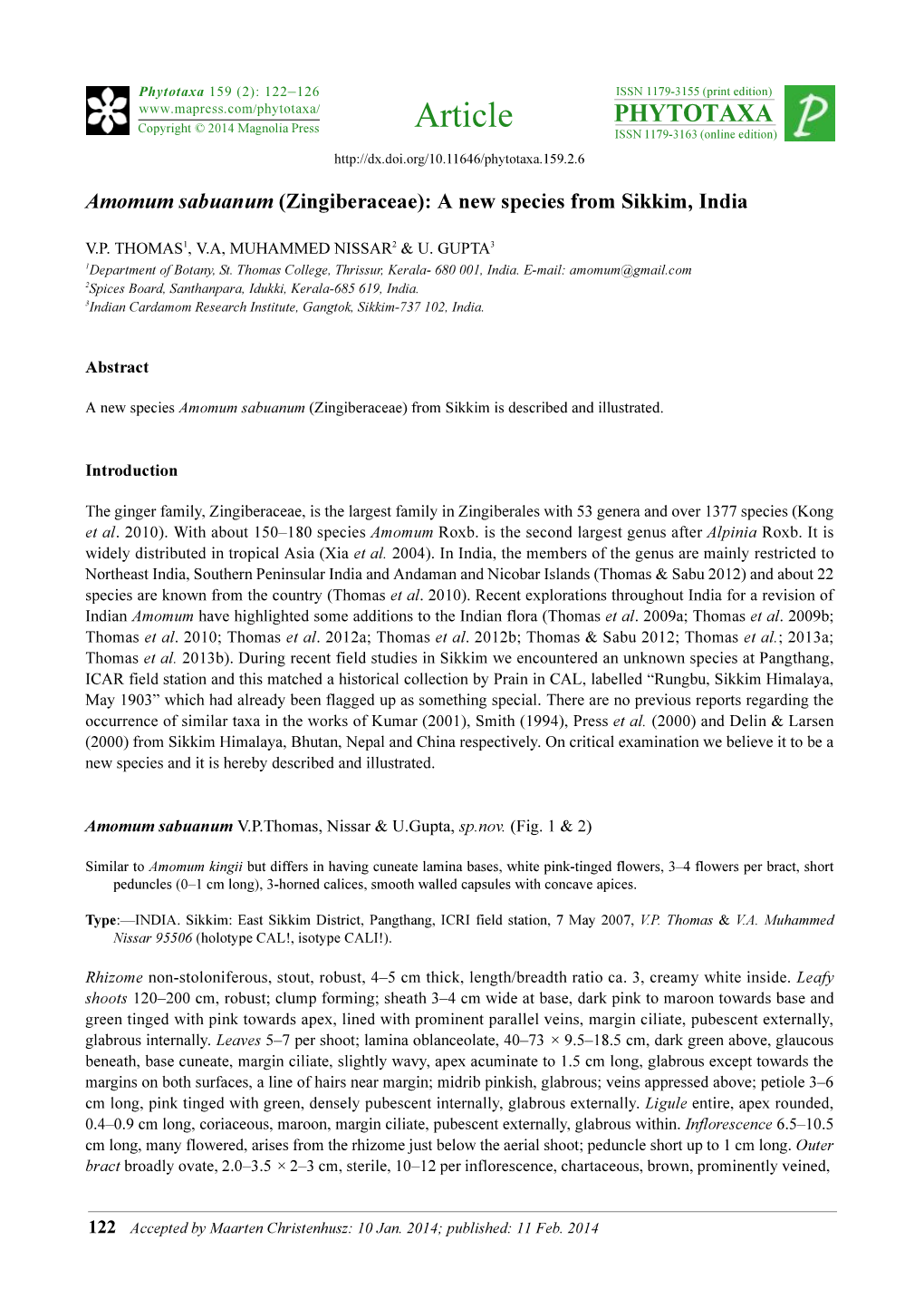 Amomum Sabuanum (Zingiberaceae): a New Species from Sikkim, India