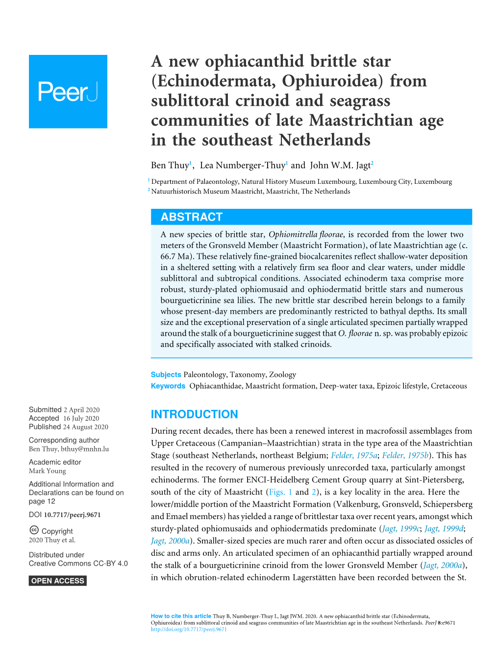 Echinodermata, Ophiuroidea) from Sublittoral Crinoid and Seagrass Communities of Late Maastrichtian Age in the Southeast Netherlands