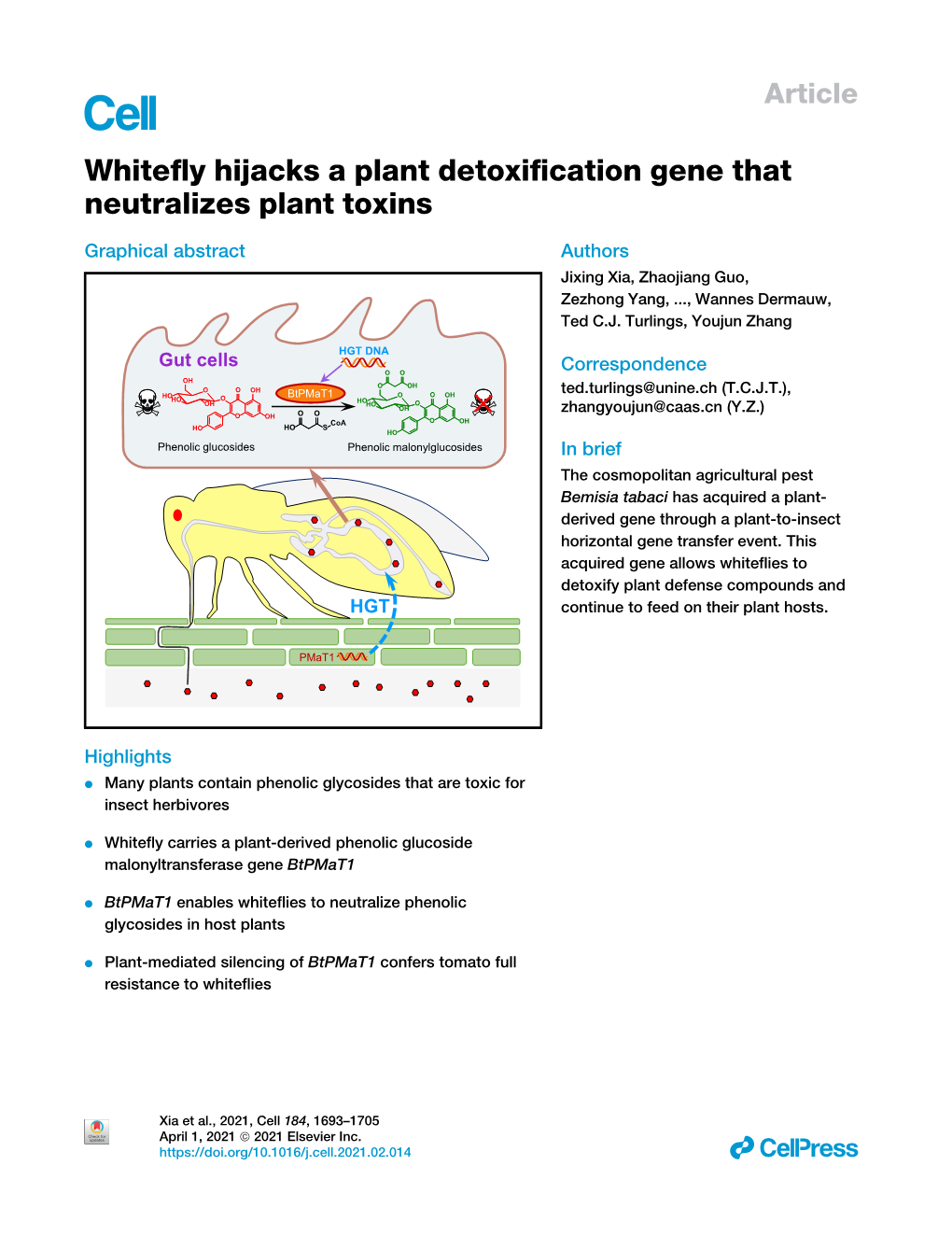 Whitefly Hijacks a Plant Detoxification Gene That Neutralizes Plant Toxins