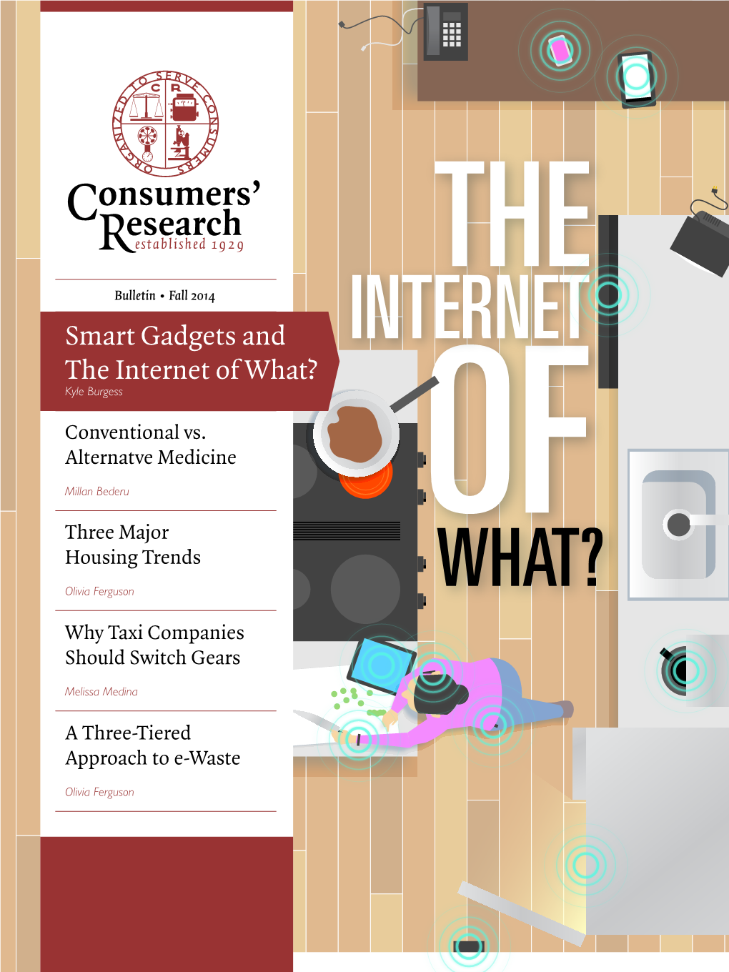 Smart Gadgets and the Internet of What?