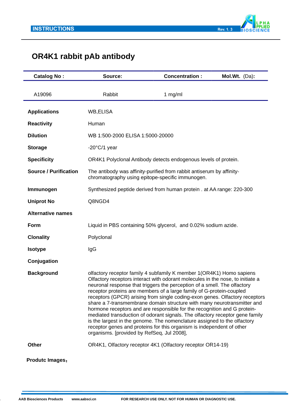 OR4K1 Rabbit Pab Antibody