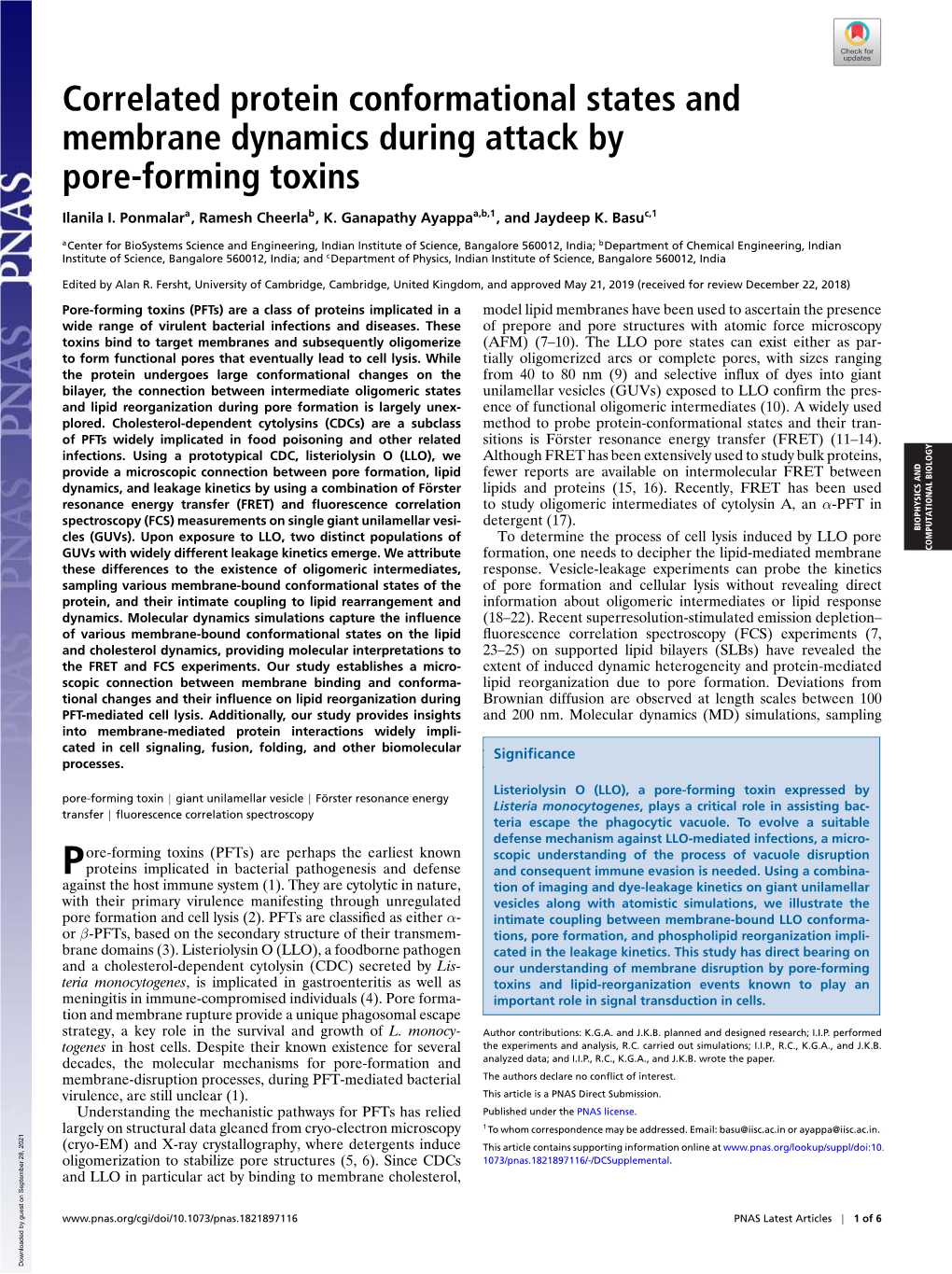 Correlated Protein Conformational States and Membrane Dynamics