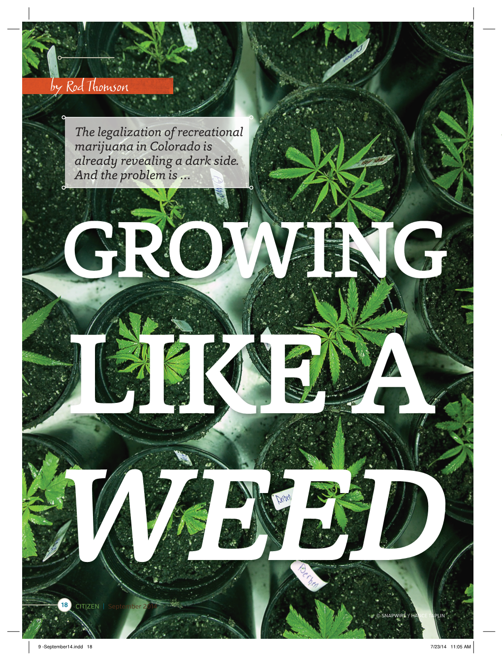 9 -September14.Indd 18 7/23/14 11:05 AM S More States Look at Loosening Laws on Suckers, Pot Hard Fruit Candies and Pot Sodas