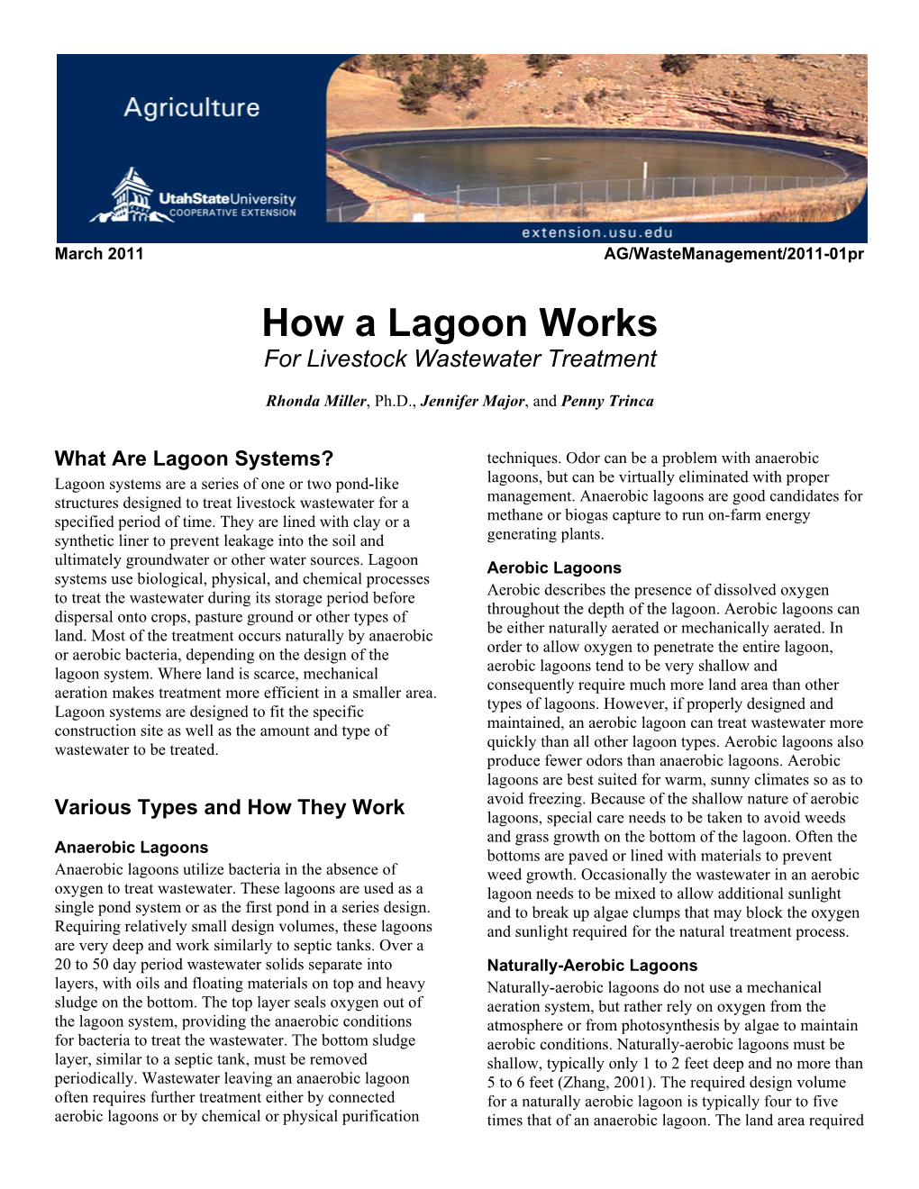 How a Lagoon Works for Livestock Wastewater Treatment