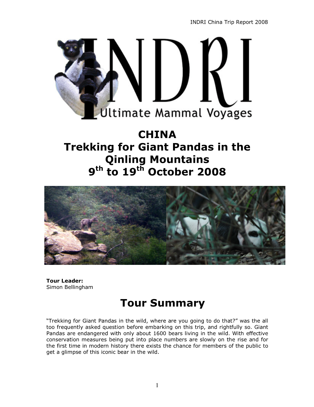 CHINA Trekking for Giant Pandas in the Qinling Mountains 9 to 19