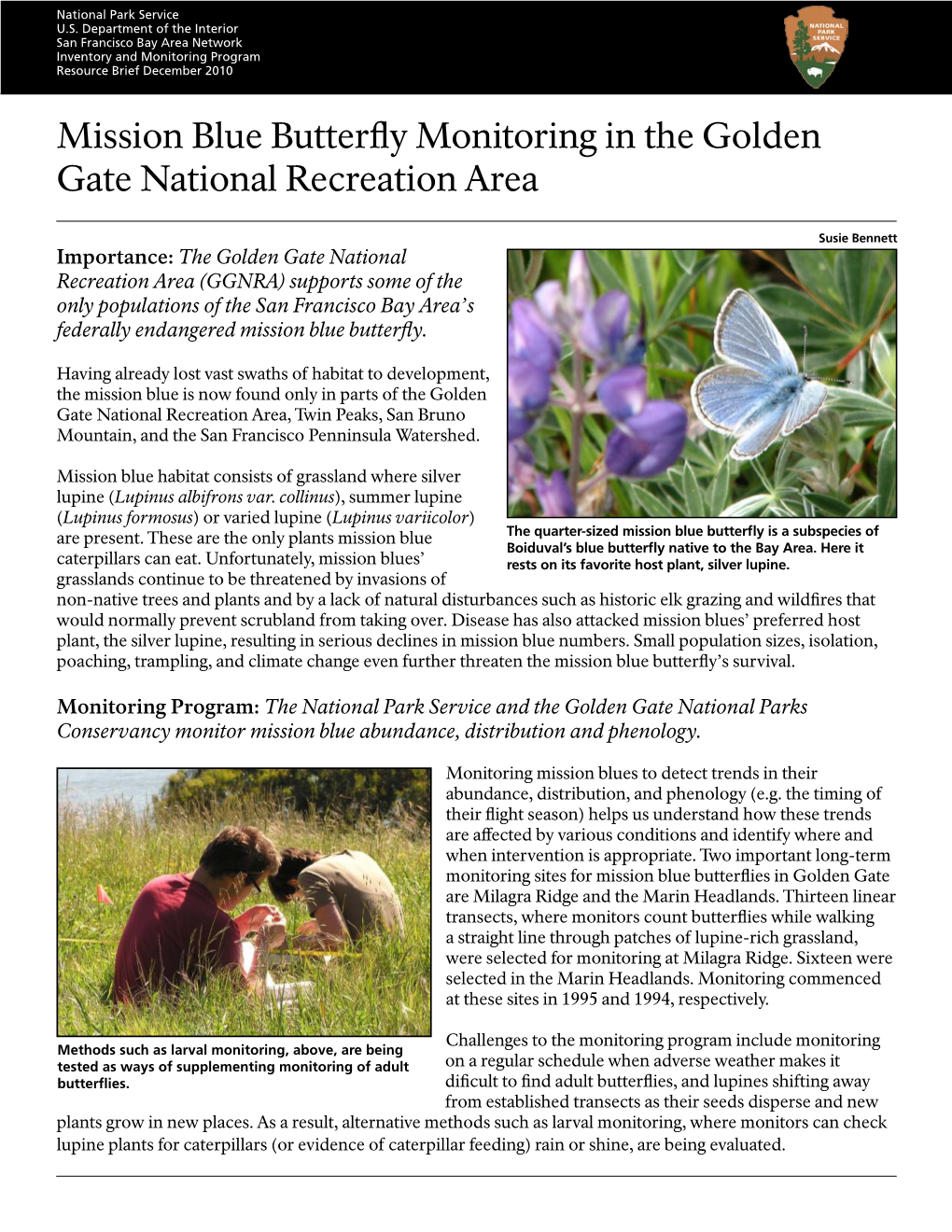 Mission Blue Butterfly Monitoring in the Golden Gate National Recreation Area