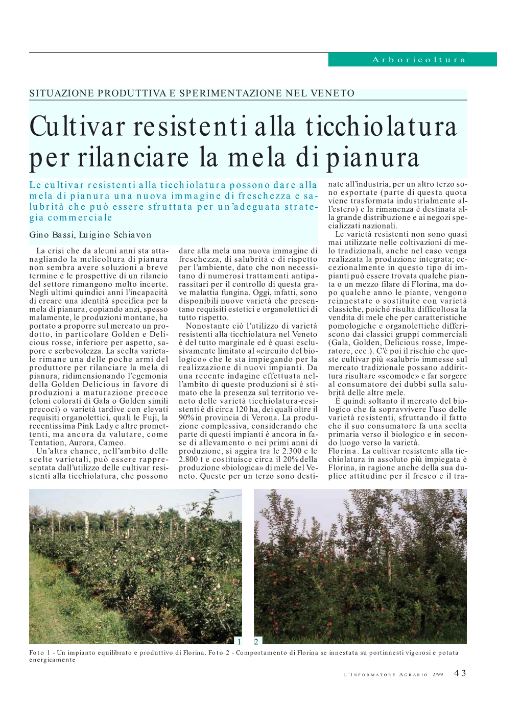 Cultivar Resistenti Alla Ticchiolatura Per Rilanciare La Mela Di Pianura