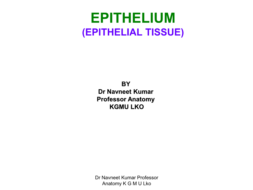 EPITHELIUM.Pdf