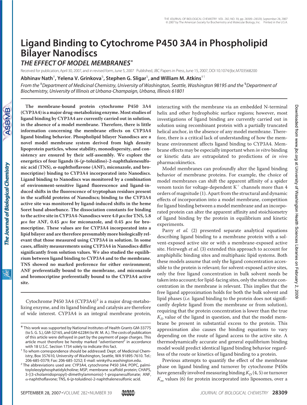 Ligand Binding to Cytochrome P450 3A4 in Phospholipid Bilayer