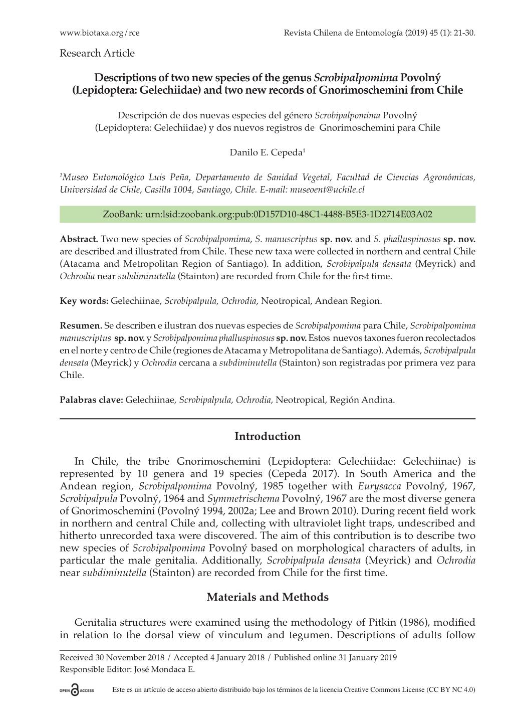 Descriptions of Two New Species of the Genus Scrobipalpomima Povolný (Lepidoptera: Gelechiidae) and Two New Records of Gnorimoschemini from Chile