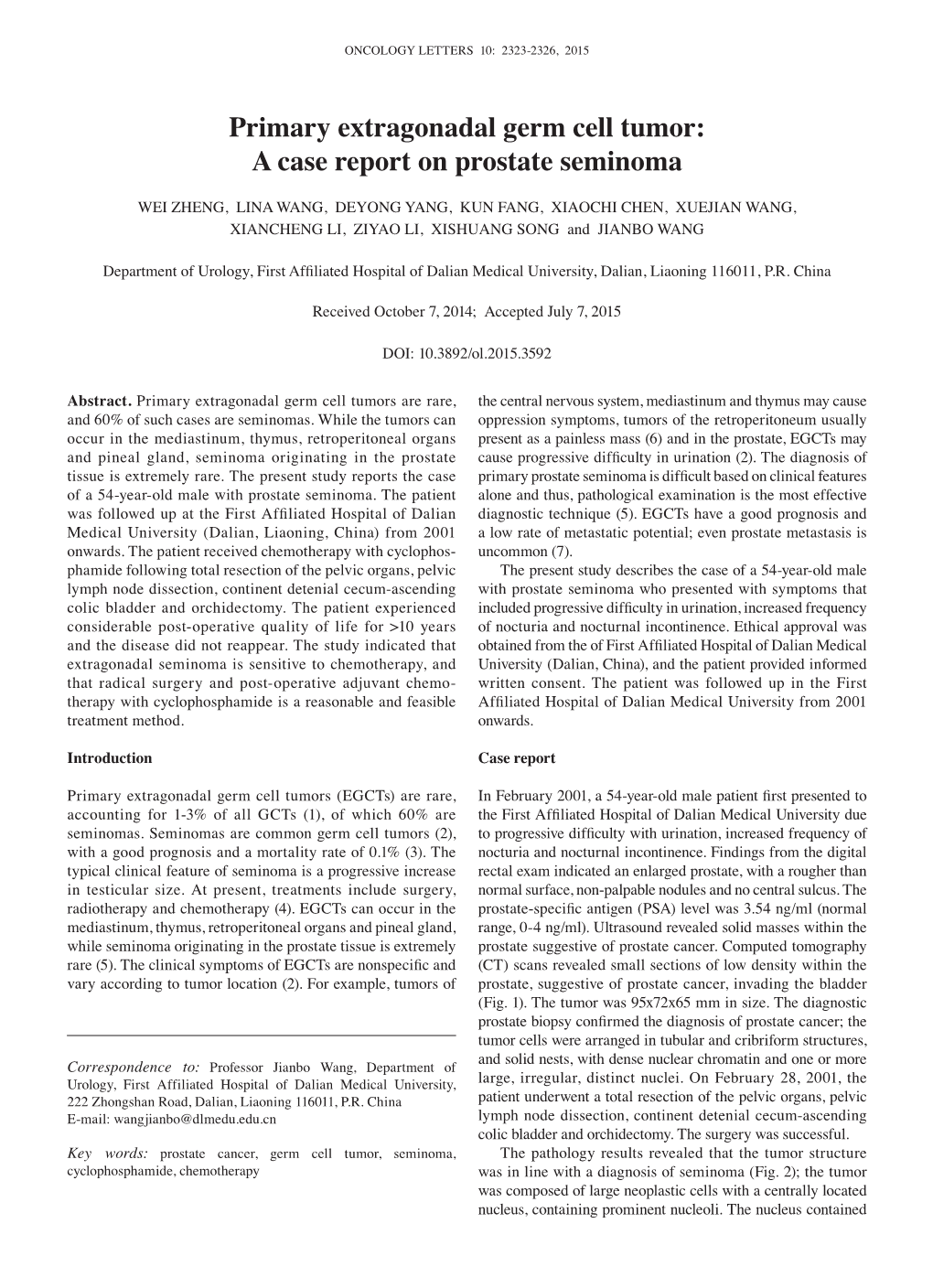 Primary Extragonadal Germ Cell Tumor: a Case Report on Prostate Seminoma