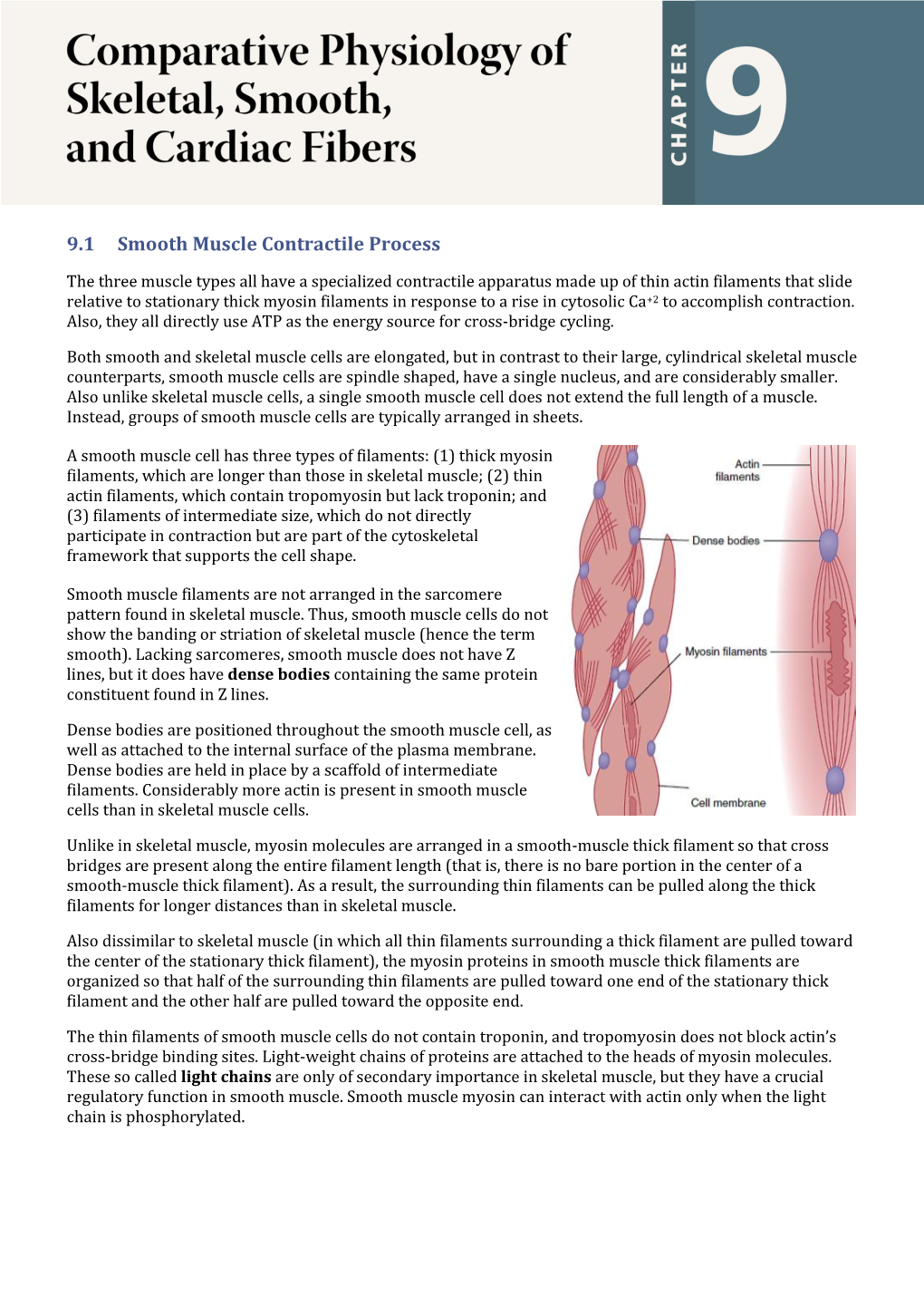 9.1 Smooth Muscle Contractile Process