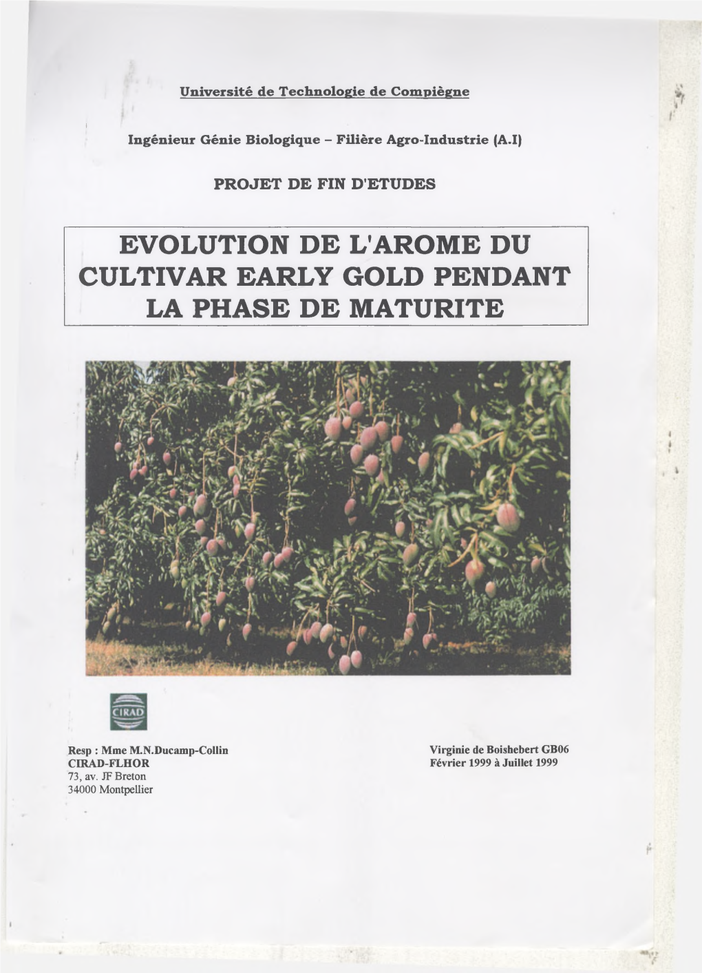 Evolution De L'arome Du Cultivar Early Gold Pendant La Phase De Maturite