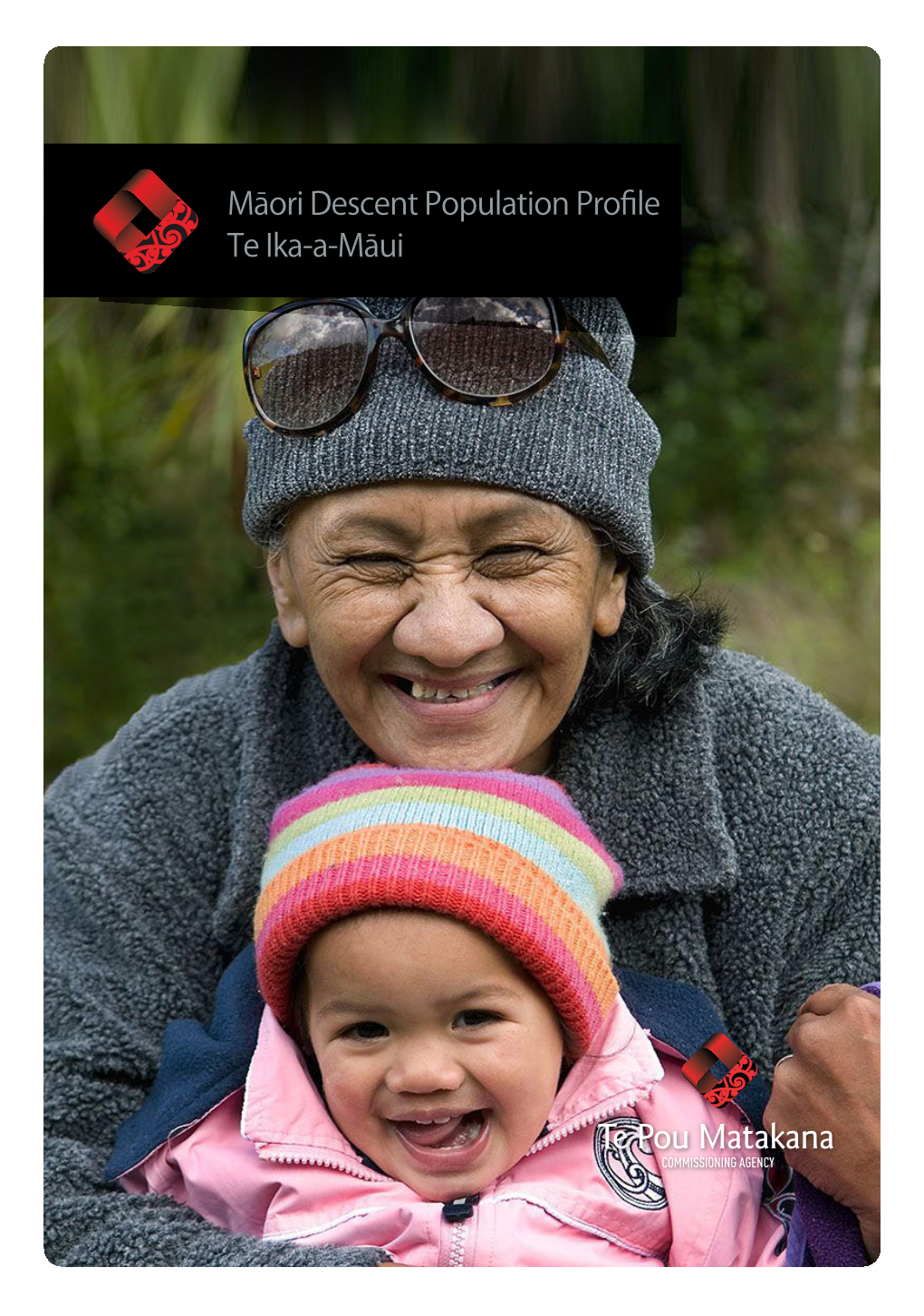 Cover Maori Descent Population Profile Copy