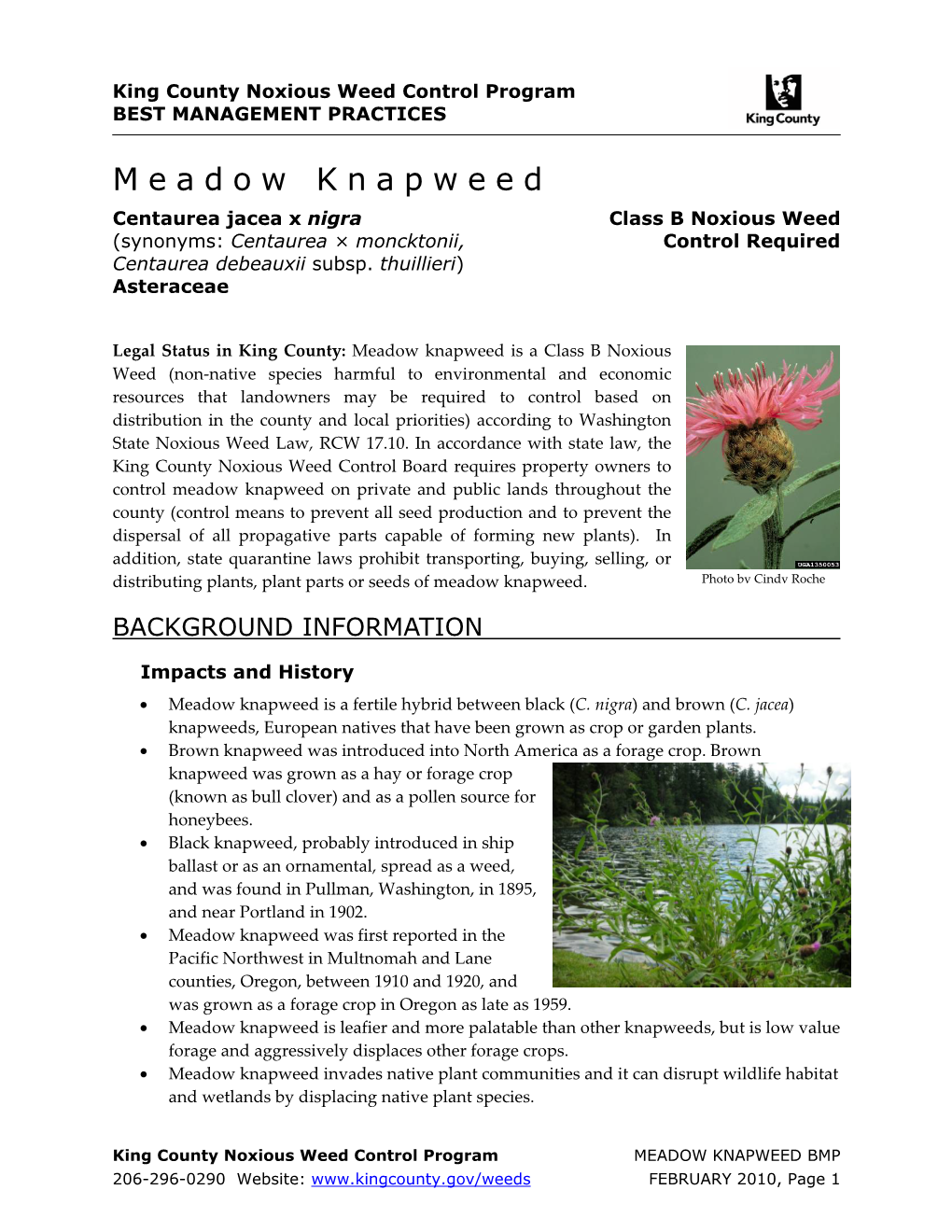King County Best Management Practices for Meadow Knapweed
