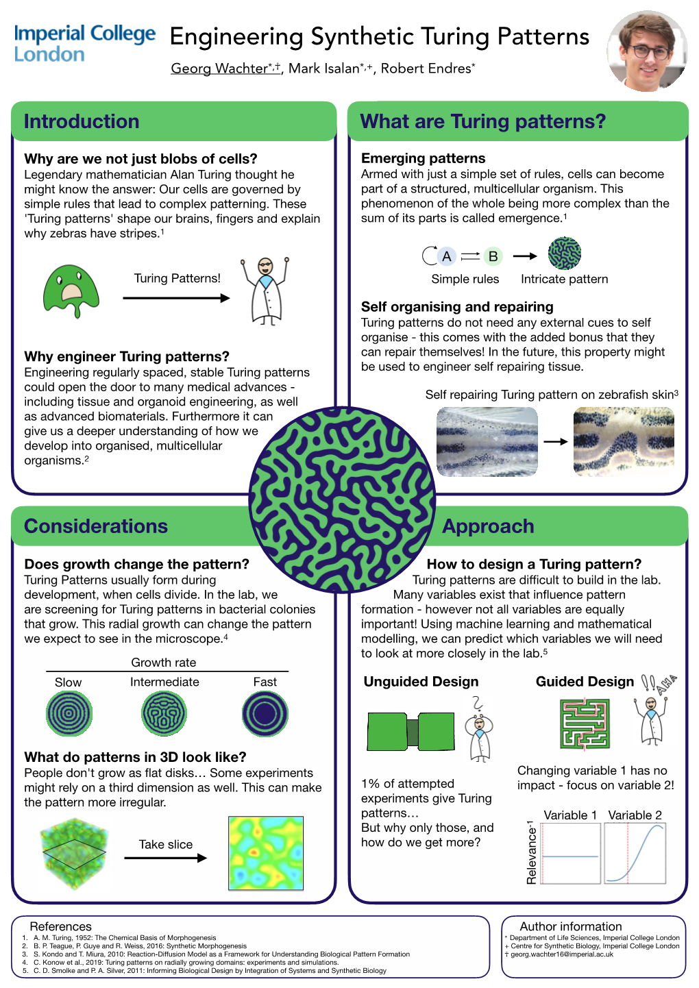 Engineering Synthetic Turing Patterns Georg Wachter*,☥, Mark Isalan*,+, Robert Endres*