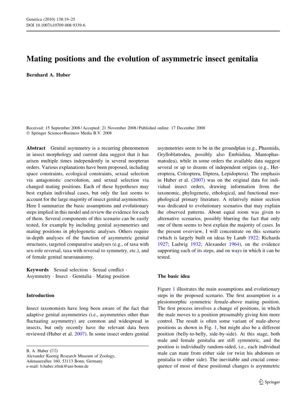 Mating Positions and the Evolution of Asymmetric Insect Genitalia