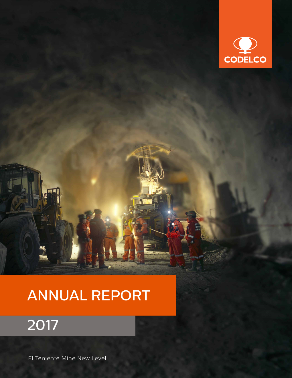 ANNUAL REPORT 2017 Contents