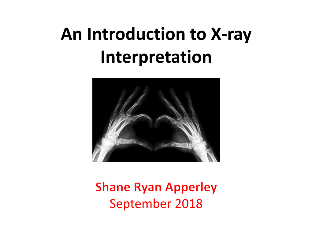 X-Ray Interpretation