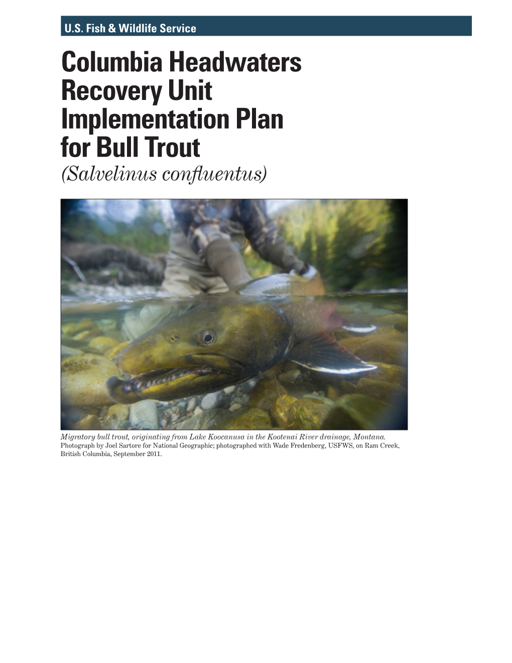 Columbia Headwaters Recovery Unit Implementation Plan for Bull Trout (Salvelinus Confluentus)