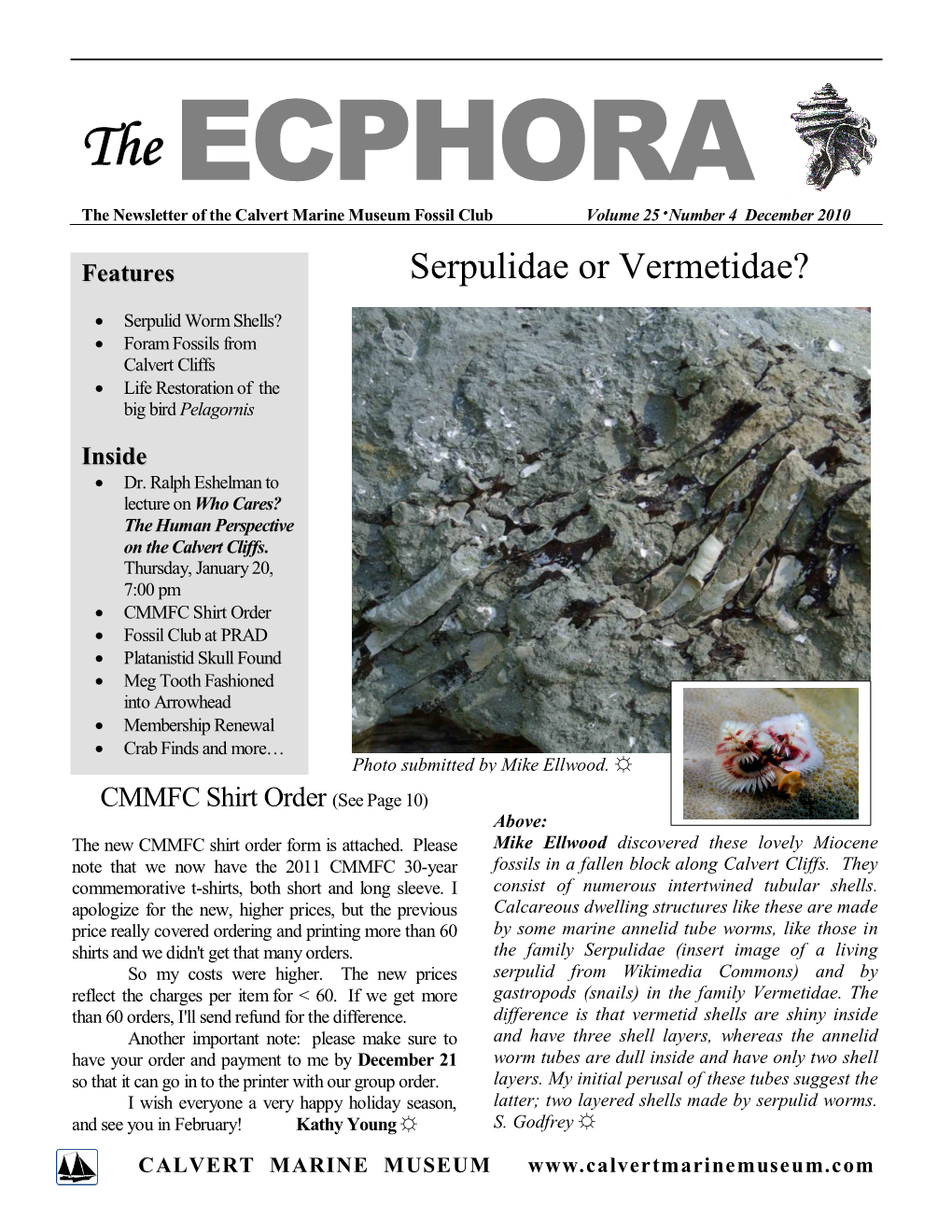 The ECPHORA the Newsletter of the Calvert Marine Museum Fossil Club Volume 25  Number 4 December 2010