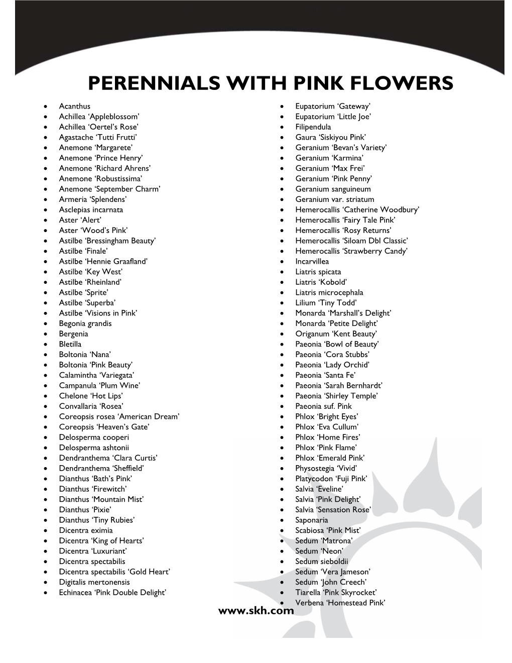 Perennials with Pink Flowers