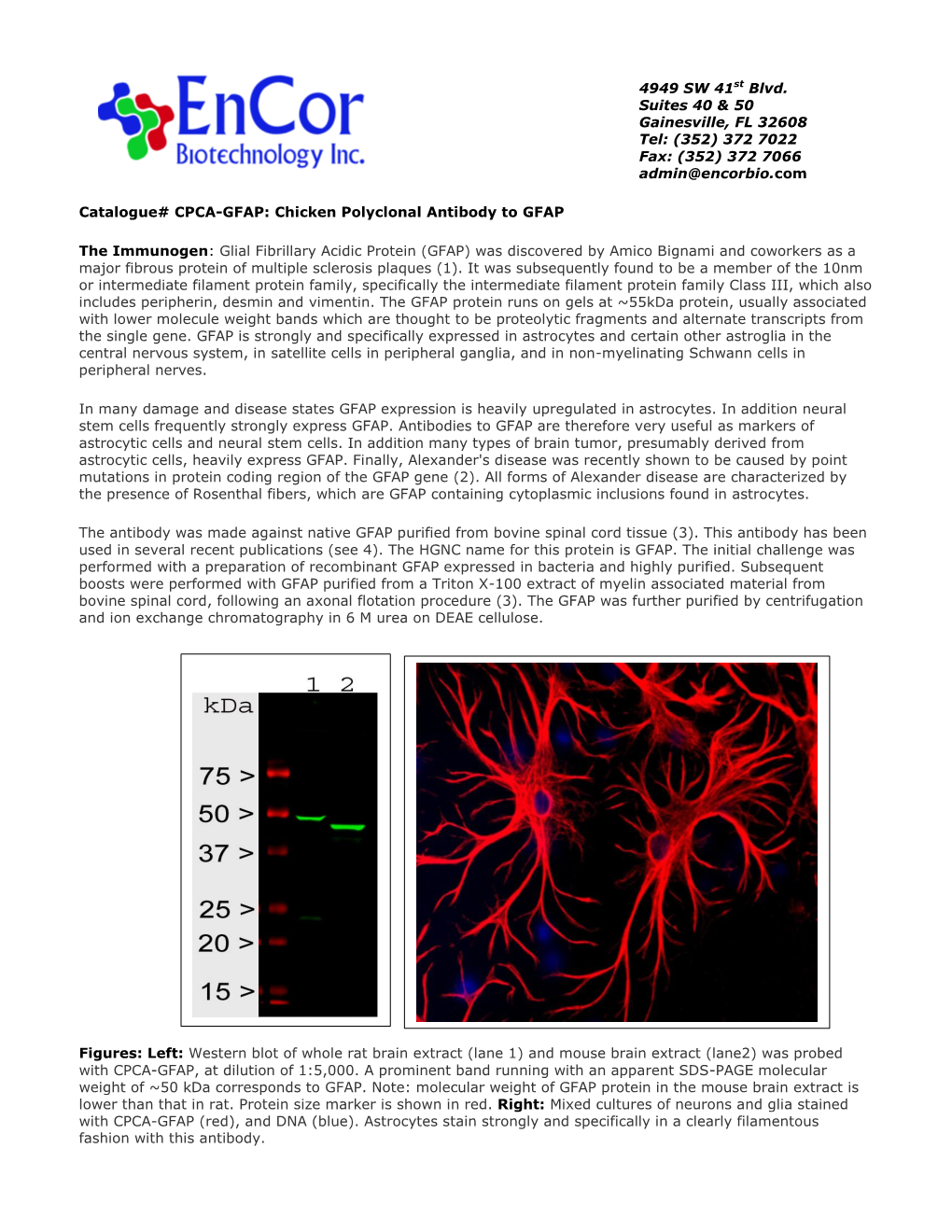 CPCA-GFAP Product Data Sheet.Pdf