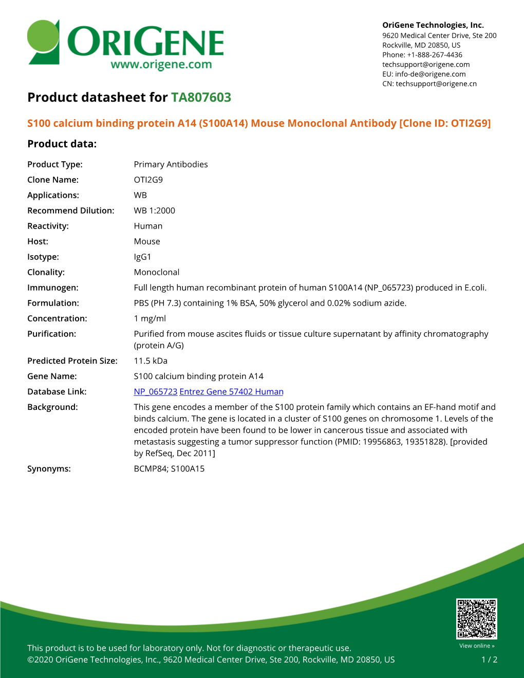 S100 Calcium Binding Protein A14 (S100A14) Mouse Monoclonal Antibody [Clone ID: OTI2G9] Product Data