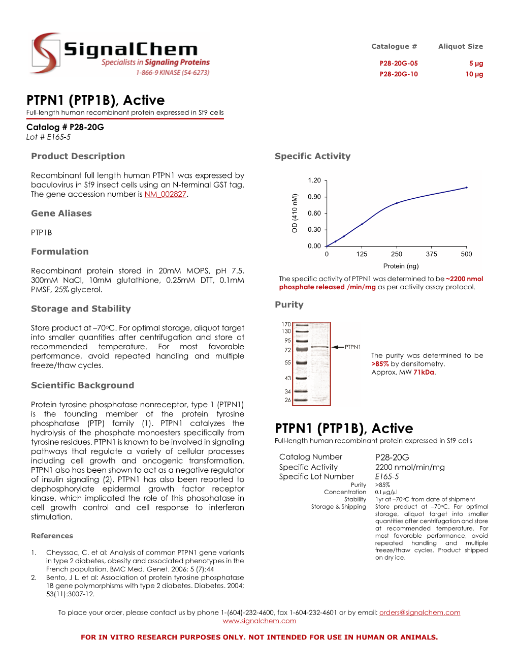 PTPN1 (PTP1B), Active Full-Length Human Recombinant Protein Expressed in Sf9 Cells