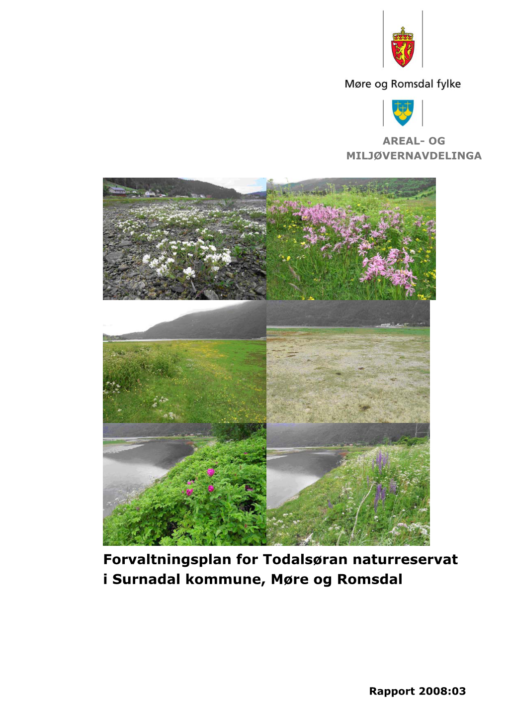 Forvaltningsplan for Todalsøran Naturreservat I Surnadal Kommune, Møre Og Romsdal