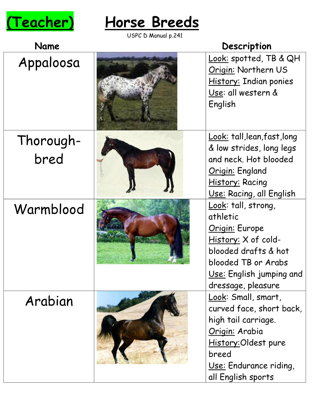 Horse Breeds USPC D Manual P.241 Name Description Look: Spotted, TB & QH Appaloosa Origin: Northern US History: Indian Ponies Use: All Western & English
