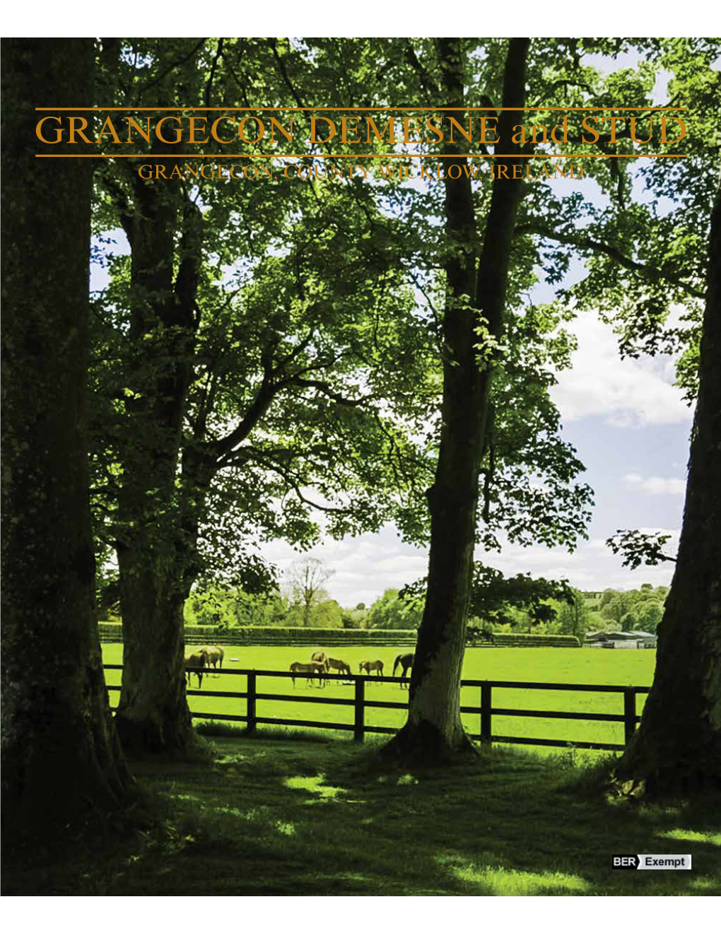 GRANGECON DEMESNE and STUD GRANGECON, COUNTY WICKLOW, IRELAND