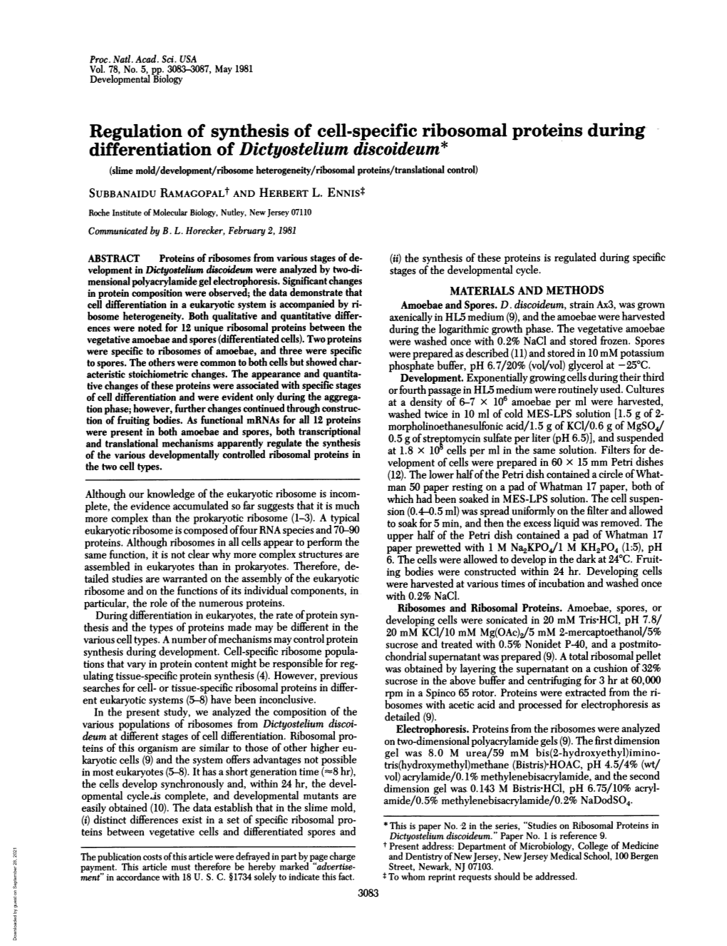 Differentiation of Dictyostelium Discoideum* (Slime Mold/Development/Ribosomei I Heterogeneity/Ribosomal Proteins/Translational Icontrol)