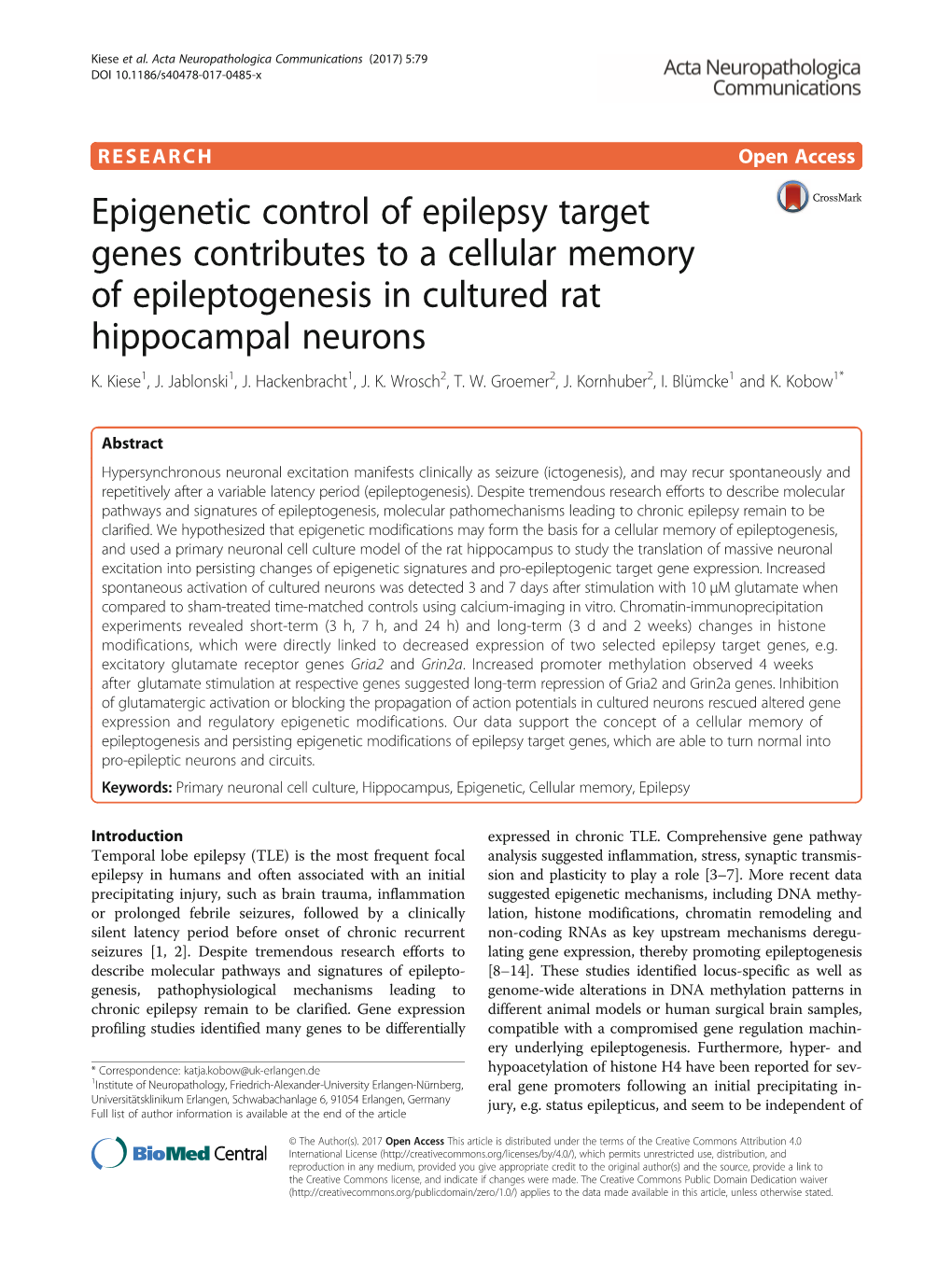 Epigenetic Control of Epilepsy Target Genes Contributes to a Cellular Memory of Epileptogenesis in Cultured Rat Hippocampal Neurons K