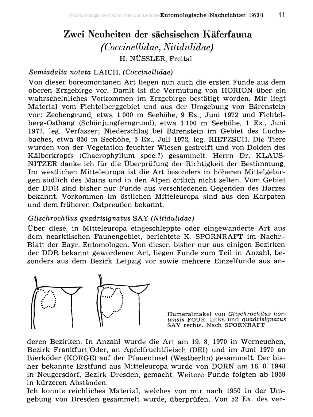 Zwei Neuheiten Der Sächsischen Käferfauna (Coccinellidae, Nitidulidae) H