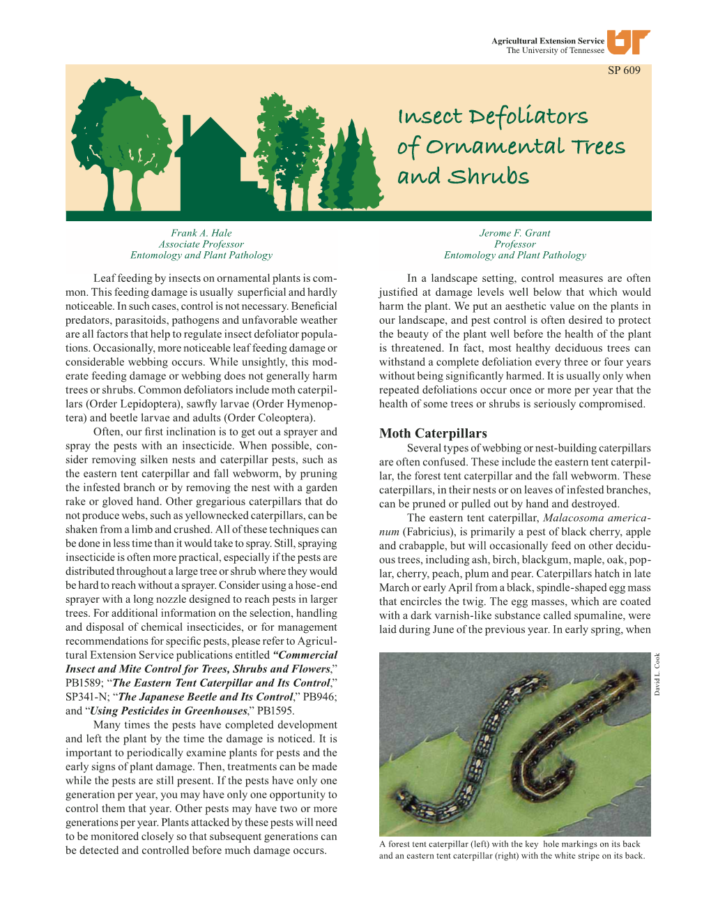 Insect Defoliators of Ornamental Trees and Shrubs