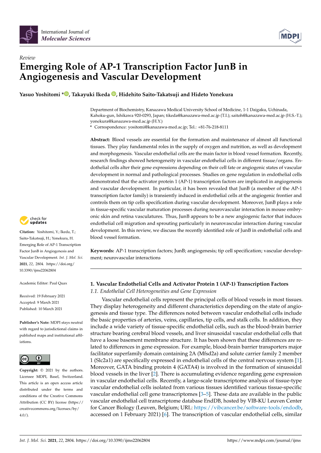 Emerging Role of AP-1 Transcription Factor Junb in Angiogenesis and Vascular Development