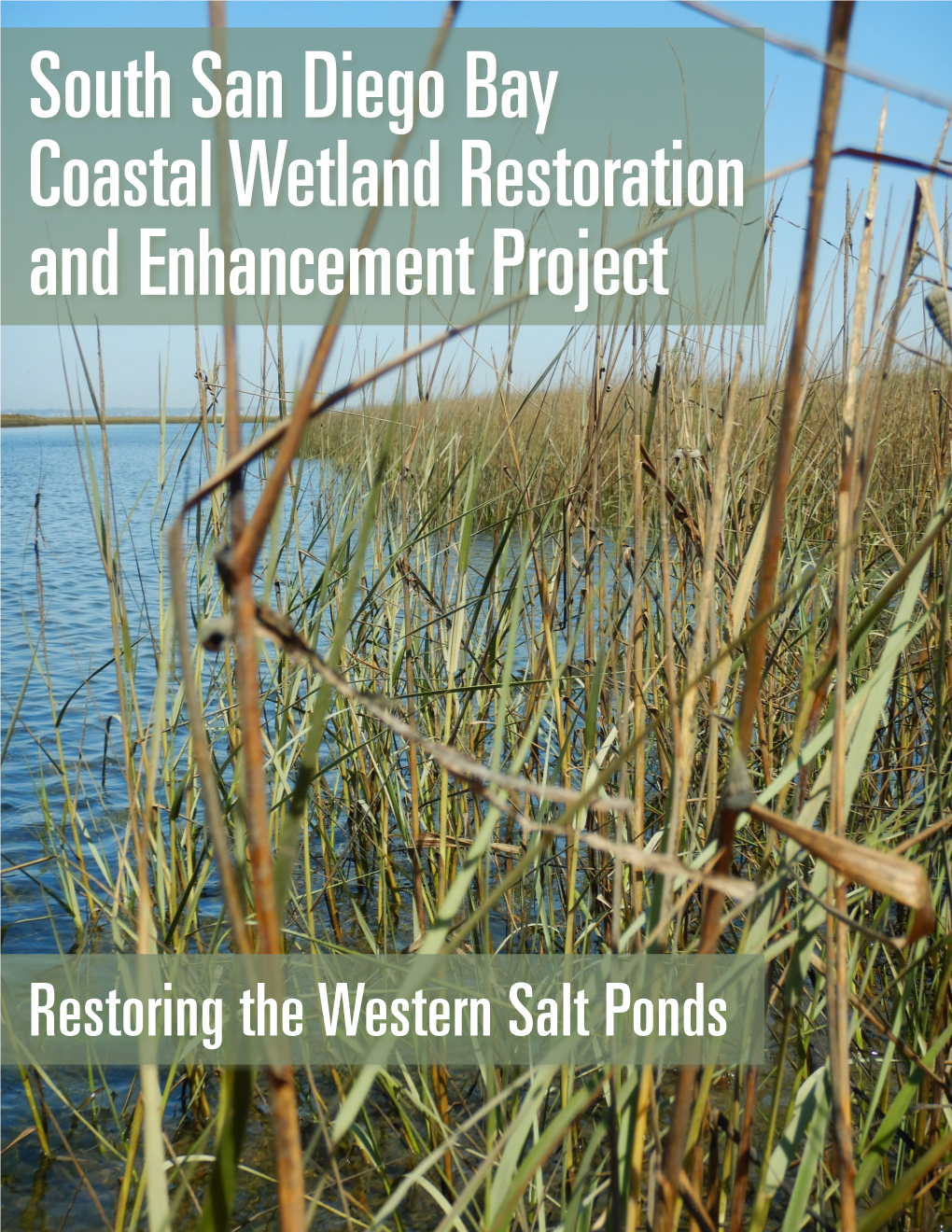 South San Diego Bay Coastal Wetland Restoration and Enhancement Project