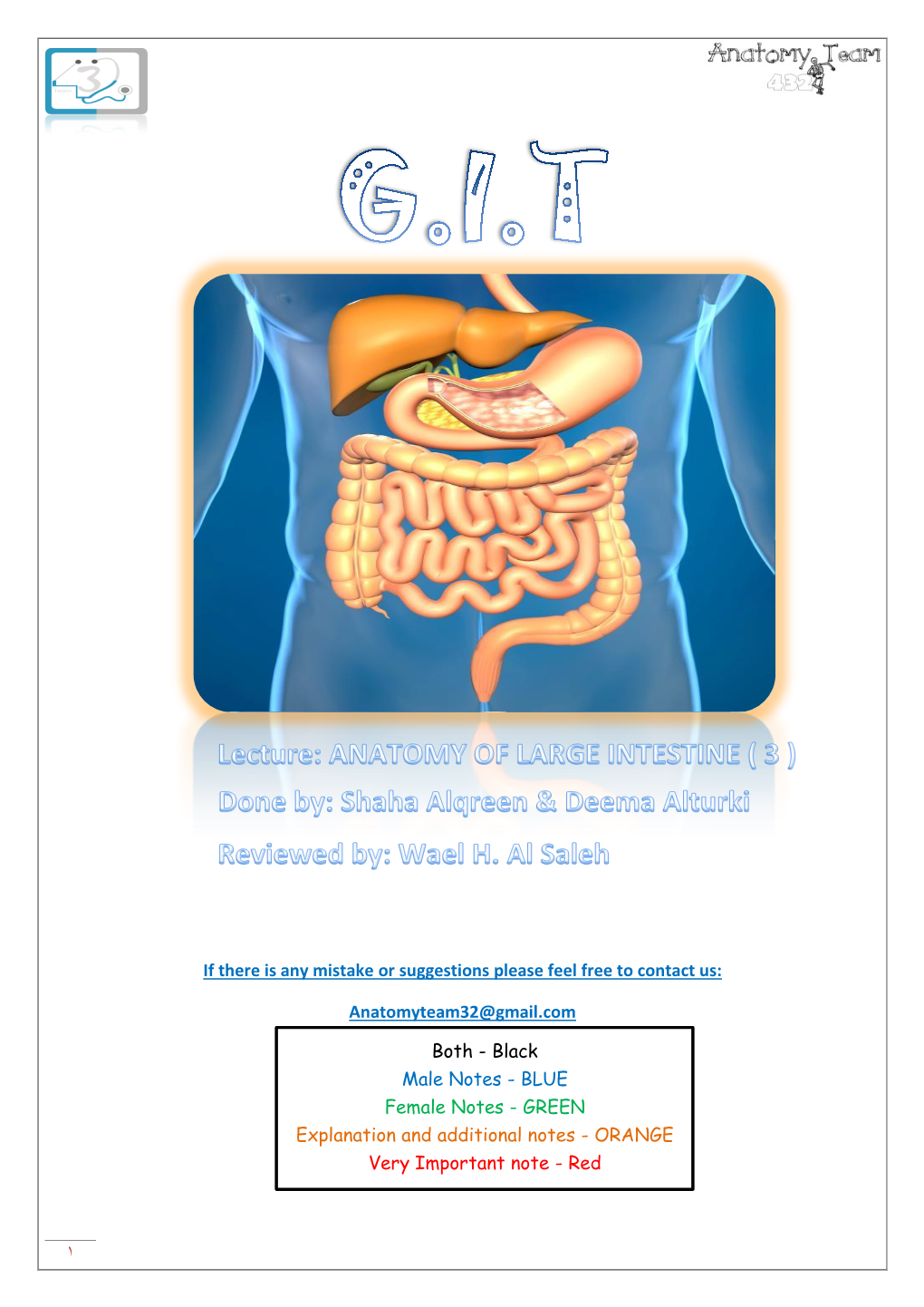 Relations of LARGE INTESTINE