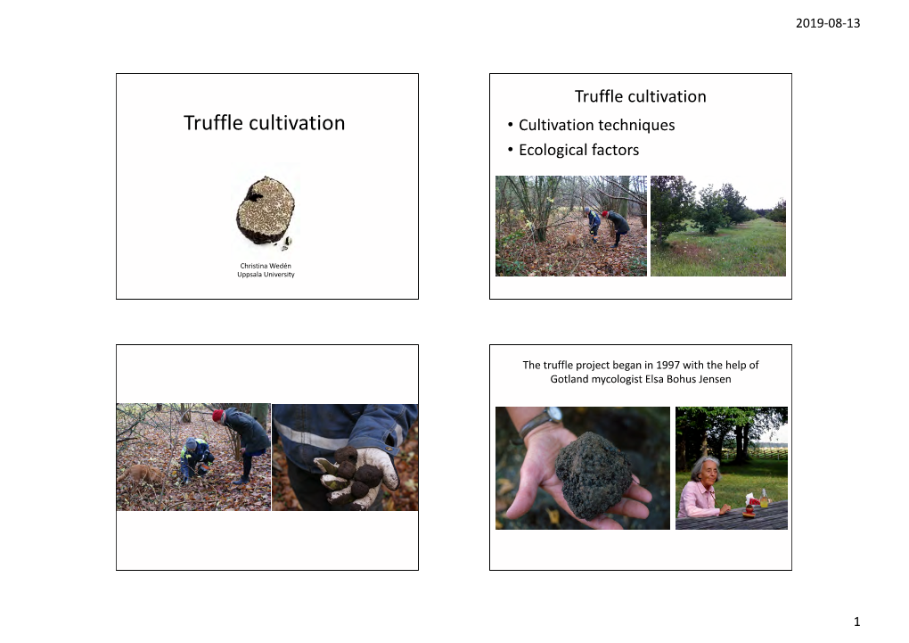 Truffle Cultivation 2019