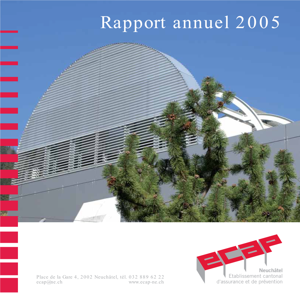 Rapport Annuel 2005