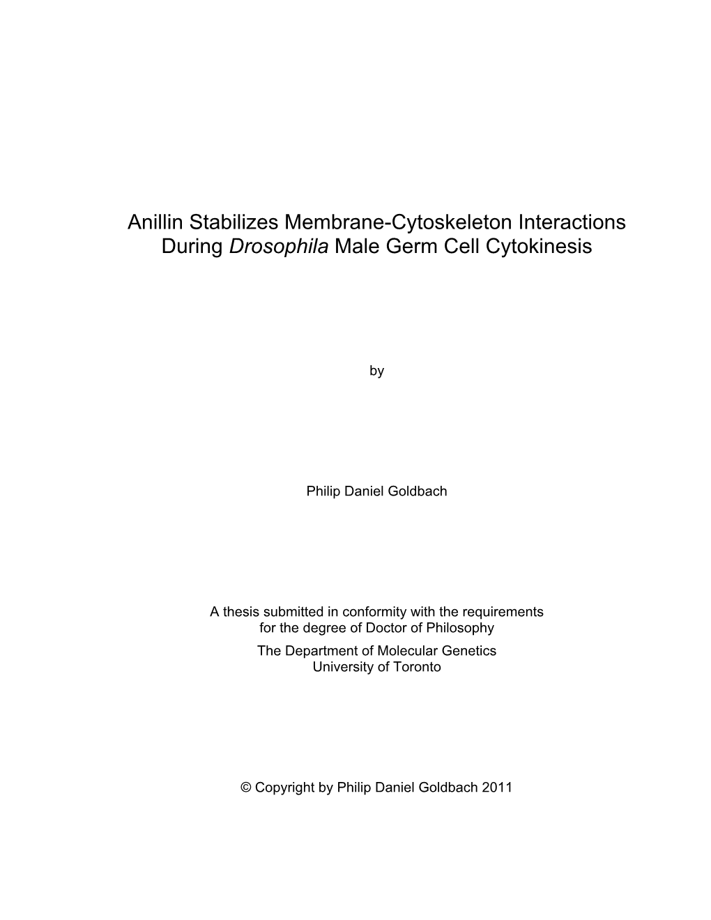 Anillin Stabilizes Membrane-Cytoskeleton Interactions During Drosophila Male Germ Cell Cytokinesis