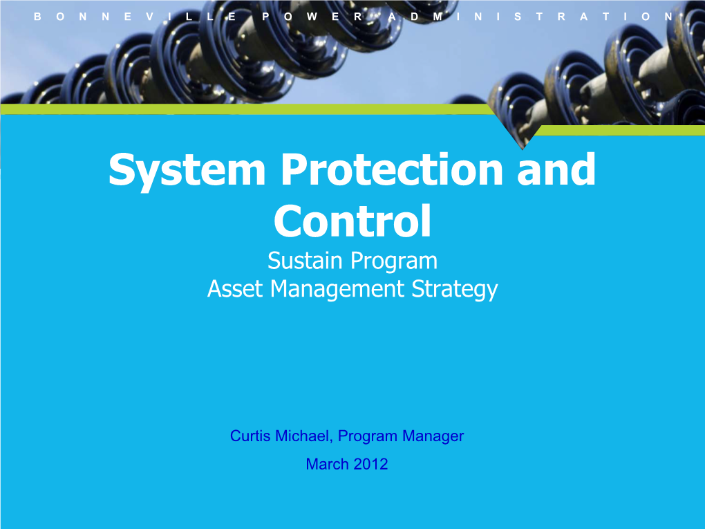 System Protection and Control Sustain Program Asset Management Strategy